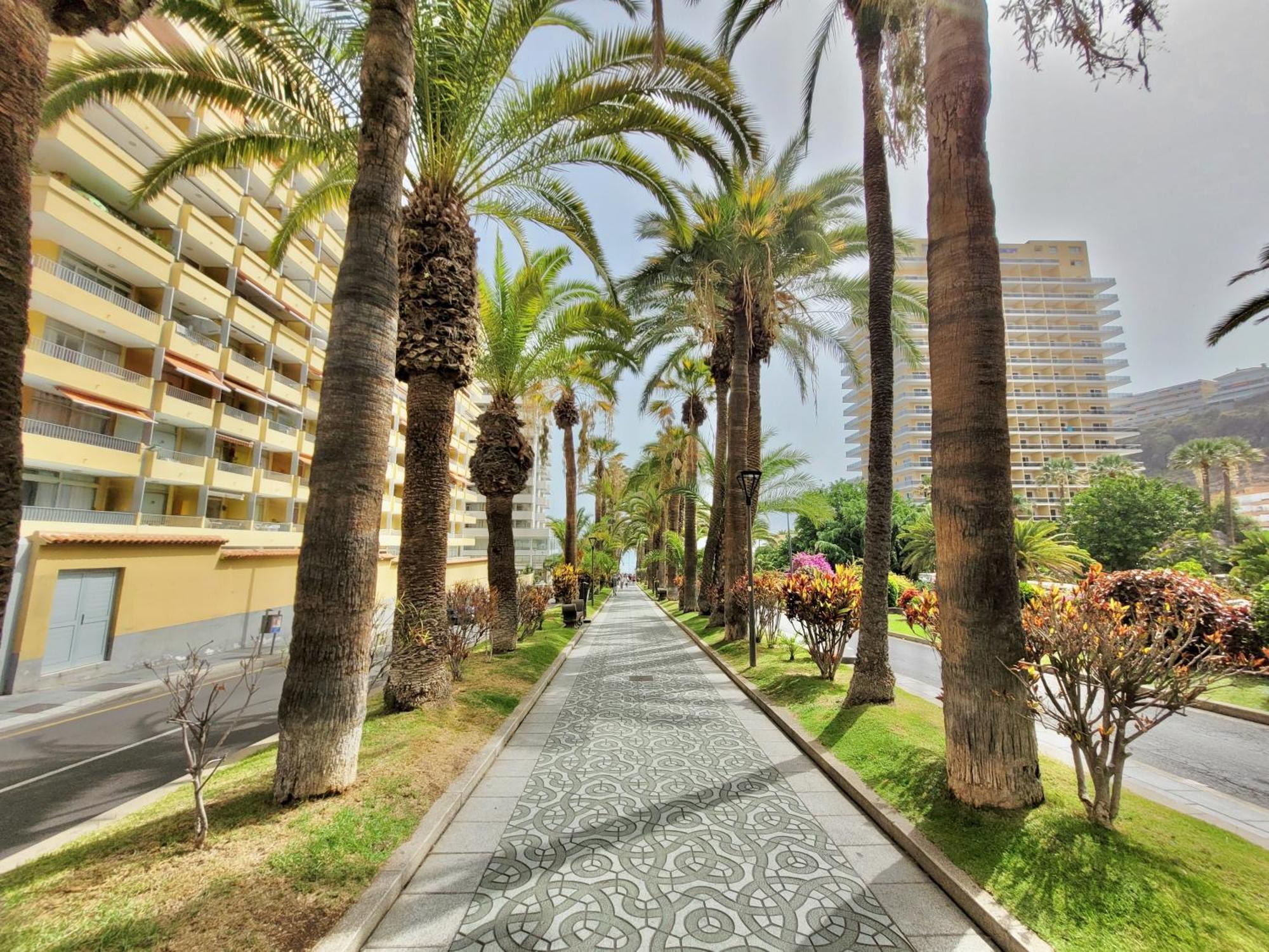 Alta Beachside Apartments Πουέρτο Ντε Λα Κρουζ Εξωτερικό φωτογραφία